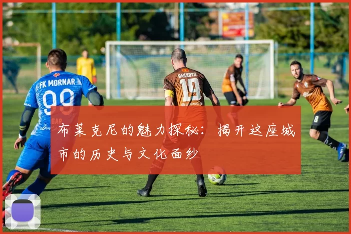 布莱克尼的魅力探秘：揭开这座城市的历史与文化面纱